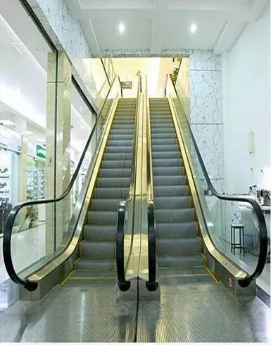 Escort Elevators